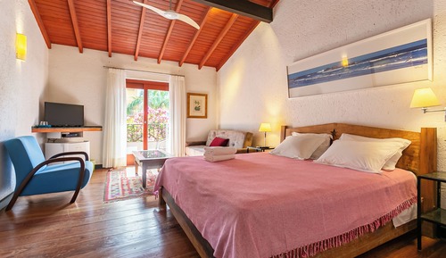 Double Room, 1 King Bed, Non Smoking, Partial Lake View