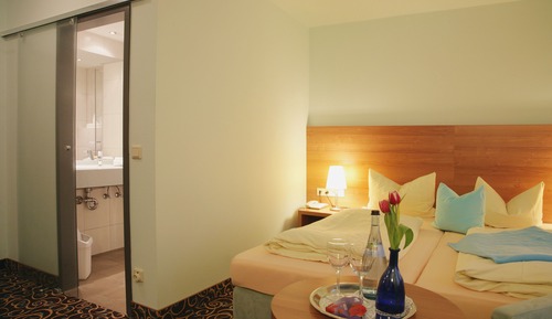 Basic Double or Twin Room