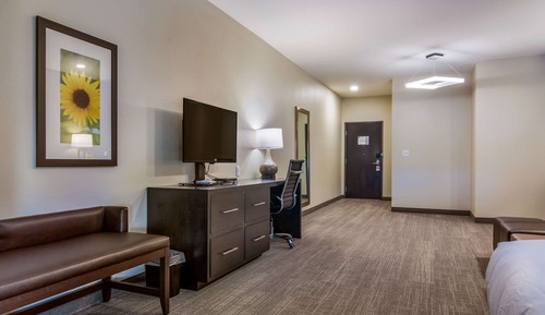 Suite, 1 King Bed with Sofa bed, Accessible, Non Smoking