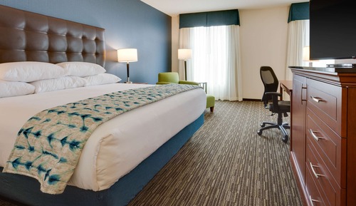 Deluxe Room, 1 King Bed, Accessible, Refrigerator & Microwave (Tub)