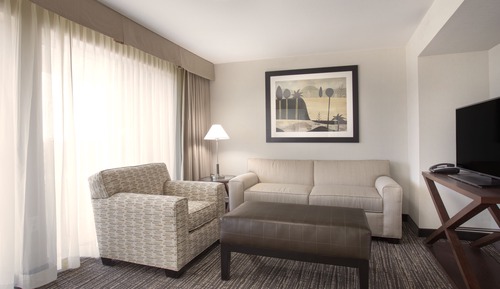 Standard Room, 1 King Bed with Sofa bed