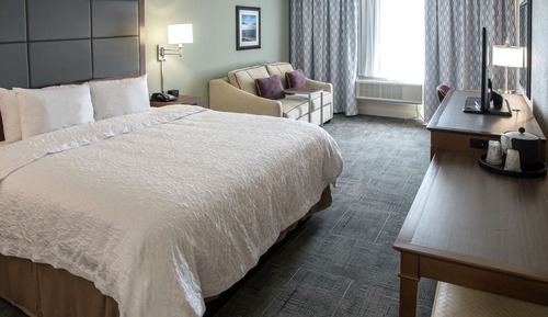 Room, 1 King Bed with Sofa bed, Non Smoking, Refrigerator & Microwave
