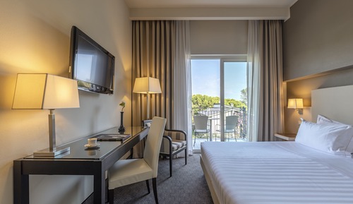 Standard Double Room, Balcony
