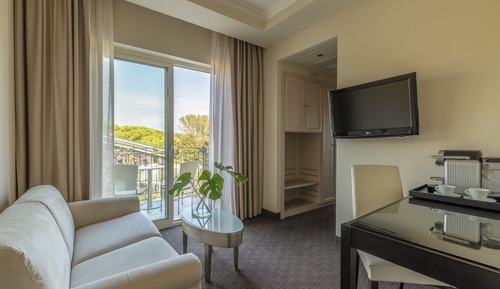 Suite, Balcony, Lake View