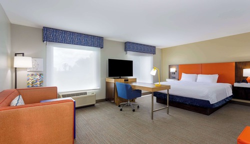 One King Bed, Accessible with Bathtub