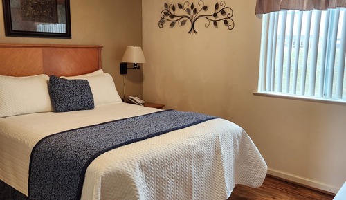 Standard Suite, 1 Queen Bed