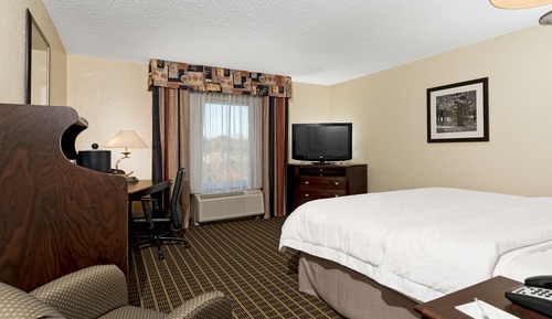 Room, 1 King Bed, Accessible, Non Smoking