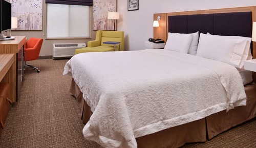 Room, 1 King Bed, Accessible