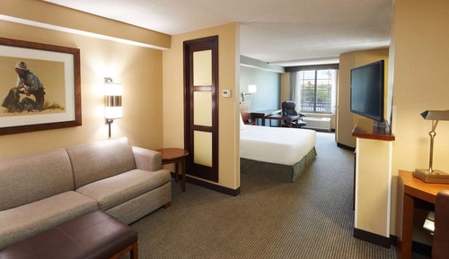 Room, 1 King Bed, Accessible (Shower)