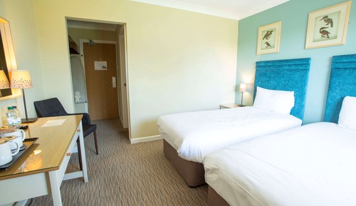 Deluxe Room, 2 Twin Beds, Non Smoking, View