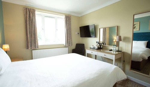 Deluxe Room, 1 King Bed, Non Smoking, View