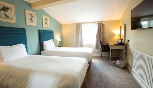 Standard Room, 2 Twin Beds, Accessible, View (Walk-in Shower)