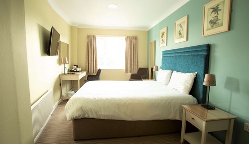 Classic Room, 1 King Bed, Non Smoking