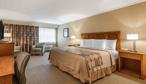 King Standard Room