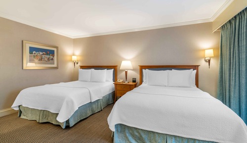 2 Queen Beds Premium