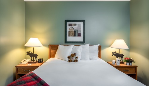 Suite, 1 Queen Bed with Sofa bed
