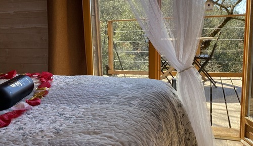 Panoramic Cabin, 1 Double Bed, Non Smoking, Hill View