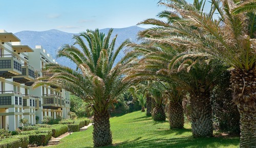 1-Bedroom Suite Garden View