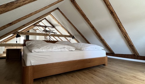 Apartment (Apartment Suite)