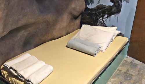 Dino Room
