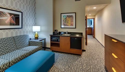 Suite, 1 King Bed with Sofa bed, Accessible, Refrigerator & Microwave (2 Rooms, Roll in Shower)