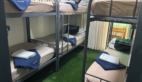 Standard Shared Dormitory