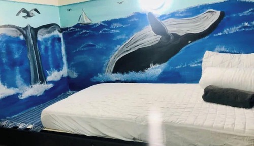 Standard Shared Dormitory