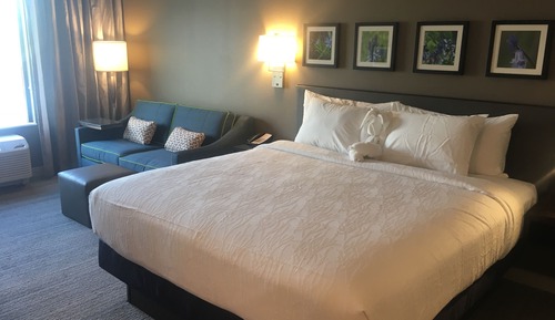 Room, 1 King Bed, Non Smoking