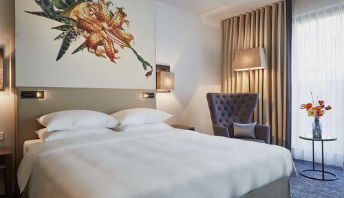 Room, 1 King Bed (Club Access)