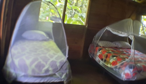 Deluxe Cabin, Multiple Beds, Park View