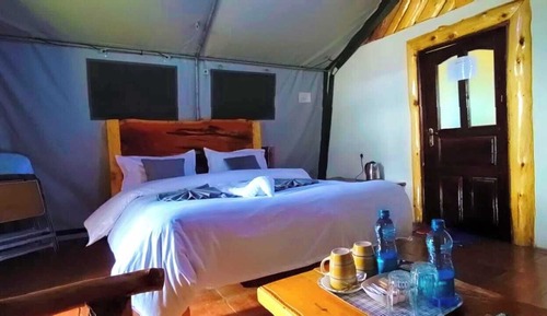 Comfort Tent, Garden View