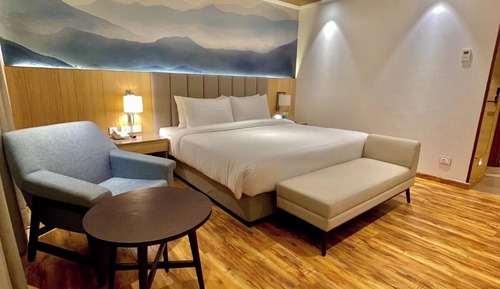 Superior Room, 1 King Bed, Non Smoking, City View