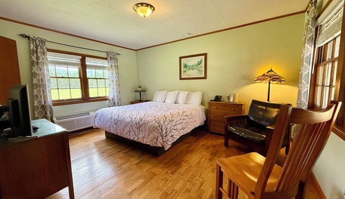 Classic Room, 1 King Bed, Mountain View
