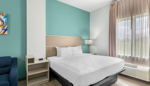 Room, 1 King Bed with Sofa bed, Non Smoking