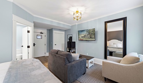 Room, 1 King Bed with Sofa bed