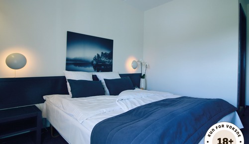 Basic Room, Garden View