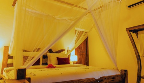 Apartment, 1 Bedroom, Oceanfront (shared pool, SIMBA or TEMBO, ground floor)