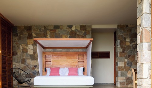 Premium Nature View Room