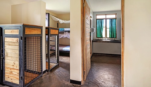 Single Bed in 8-Bed Dormitory Room