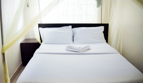 Standard Single Room, 1 Queen Bed, Garden View