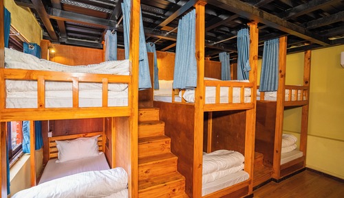 Luxury Shared Dormitory