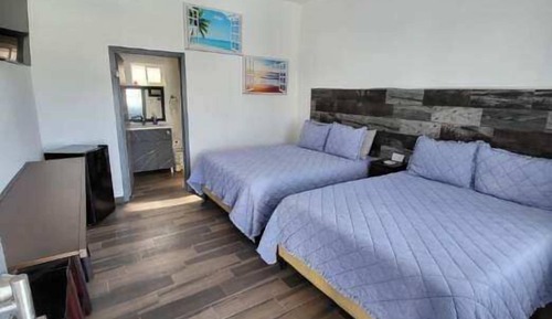Family Single Room