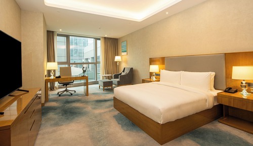 Room, 1 King Bed, Accessible