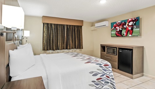 Superior Room, 1 King Bed, Accessible, Non Smoking (Roll-In Shower)