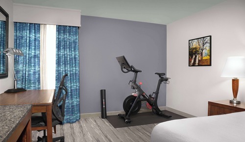Room, 1 King Bed (Peloton Bike)