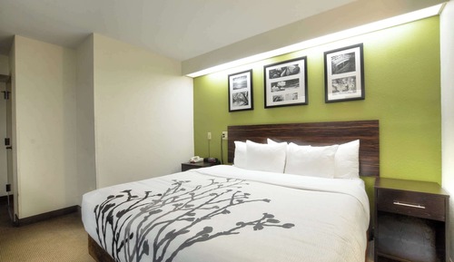 Standard Room, 1 King Bed, Non Smoking