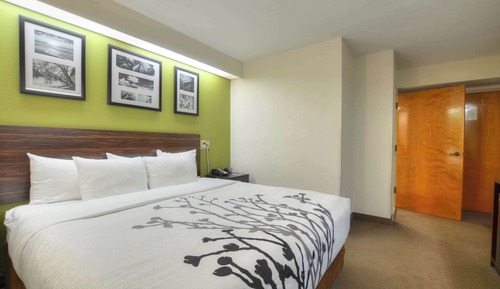 Room, 1 King Bed, Accessible, Ground Floor