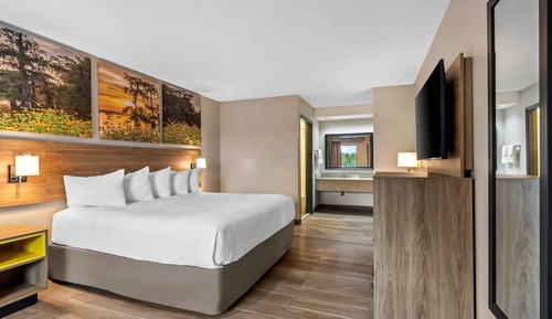 Studio Suite, 1 King Bed, Smoking