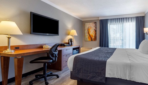 Standard Room, 1 King Bed, Non Smoking
