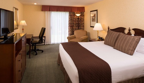 Room, 1 King Bed